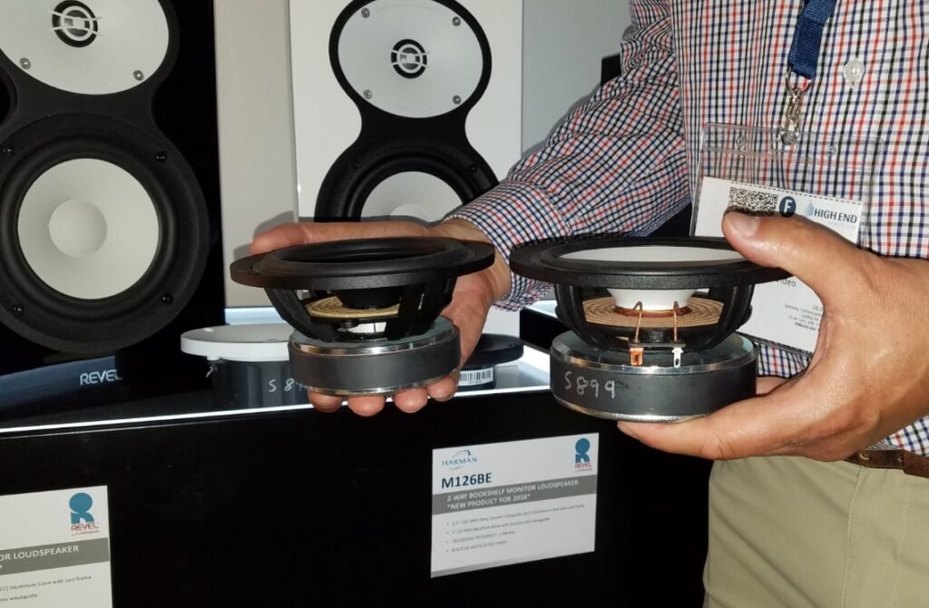 Will A Tube AMP Work Well On Revel F208